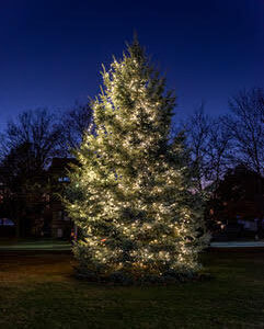  style='float:left;margin:0 20px 20px 0'